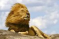 /album/fotogaleria-crowdfunding-luna-de-miel/tanzania-8-jpg/